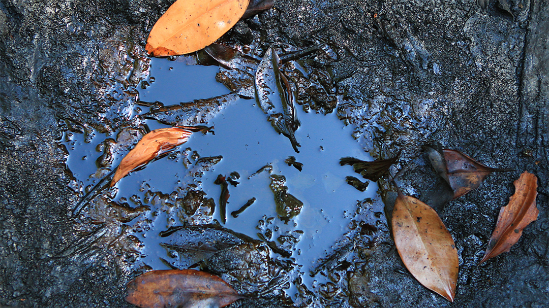 How To Clean Up the Damage from Oil Spills on Soil